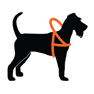 Dog Anatomical Harness