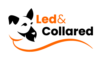 Led & Collared