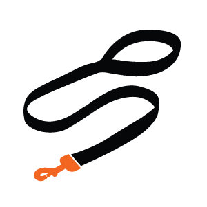 Dog Two-Tone Classic Lead