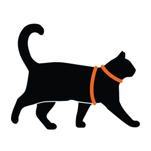 Cat Figure 8 Harness